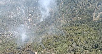 Tlaxcala reforestará cerro San Gabriel tras ecocidio por incendio