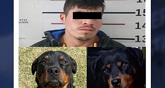 Vinculan a proceso a joven por envenenar a dos perros en Chignahuapan