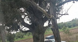 Localizan cuerpo embolsado en Huejotzingo, Puebla