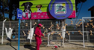 ¡Nuevo parque para perros en Loma Bonita! Un espacio seguro y divertido