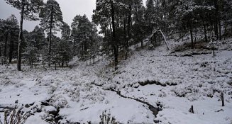 Frente frío 23 provocará temperaturas extremas y lluvias intensas en México