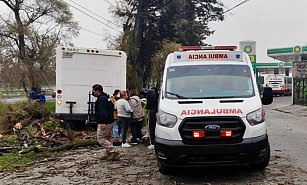 Camión sin frenos choca contra árbol en Paseo Tollocan; conductor ileso