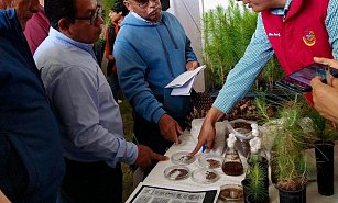 Rehabilitación de Bosques en Tlaxcala: Innovadoras Investigaciones de la UATx