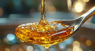 Los mejores antivirales naturales para fortalecer tu sistema inmune