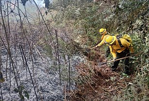 Gobierno de Puebla combate incendios forestales en Tepatlaxco y Huauchinango