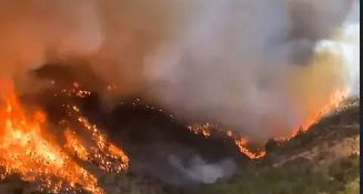Incendios forestales arrasan Tlaxcala: La Malinche, la más afectada