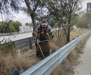 Mantienen limpieza y previenen incendios en la Recta a Cholula