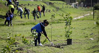 Encabeza Guadalupe Cuautle jornada de reforestación en el CEDAT por el Día Mundial del Medio Ambiente