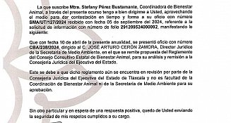 Observatorio denuncia omisión en la implementación del Consejo Consultivo de Bienestar Animal en Tlaxcala