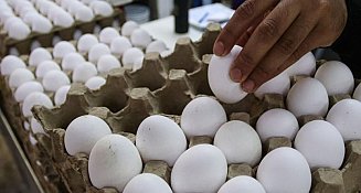 ¿Por qué no guardar los huevos en la puerta del refrigerador?