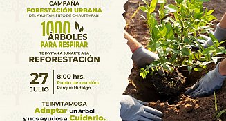 Ayuntamiento de Chiautempan invita a que te sumes a plantar un árbol