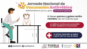 Protege a tus mascotas: Vacunación antirrábica gratuita en Puebla del 22 al 28 de septiembre