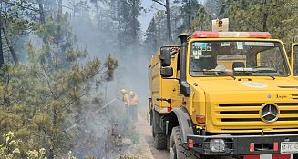 Buscan frenar quemas ilegales en Tlaxcala con reformas al Código Penal