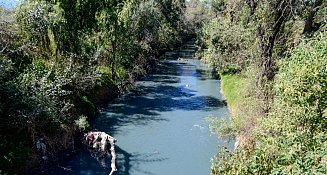 Río Atoyac: Crisis Ambiental que Afecta Salud y Ecosistemas en Puebla y Tlaxcala