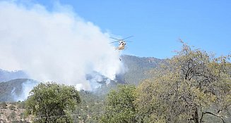 Más de 150 hectáreas afectadas por incendio, SMA levanta contingencia en 6 municipios 