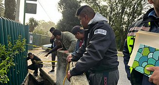 Cerrará sus puertas Jardín Botánico tras afectaciones por lluvias