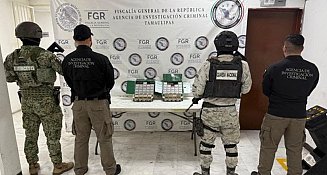 Operativo nacional en México: 179 detenidos y grandes aseguramientos