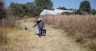 Unidos por la Laguna de Acuitlapilco: Salvemos su Biodiversidad