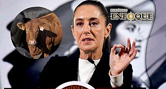 EE. UU. anuncia reapertura gradual de la frontera para el ingreso de ganado mexicano