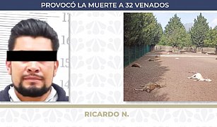 Puebla: Sentencian a 6 años de prisión a hombre por matar 32 venados