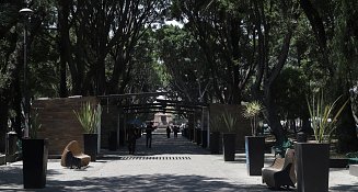 Puebla contratará empresa externa para el mantenimiento de parques ante falta de personal