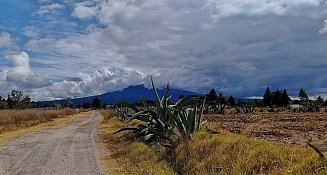 La Magdalena Tlaltelulco: Declarada Zona de Atención Prioritaria 2025