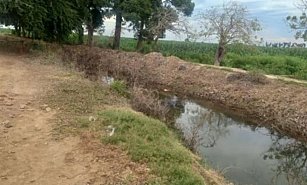 Hombre de 84 años encontrado muerto en canal de Guasave, Sinaloa