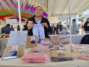 ¡Conoce Federica! Moda y estilo para mascotas desde Tlaxcala