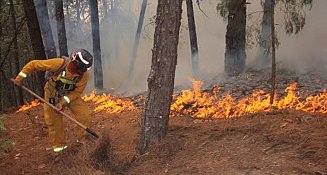 Tlaxcala reduce los incendios forestales con estrategias efectivas: ¡Conoce cómo!