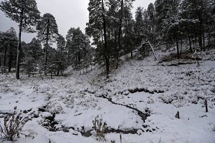 Frente frío 23 provocará temperaturas extremas y lluvias intensas en México