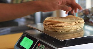 Precio de la tortilla se mantiene estable en 2025: Profeco