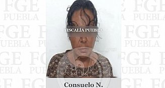 Mujer en Puebla condenada por crueldad animal: 45 casos de maltrato