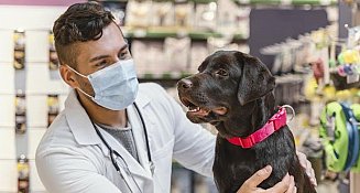 Baja vacunación, un riesgo para todos