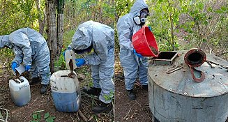 Desmantelan laboratorio de drogas de Los Chapitos en Navolato, Sinaloa