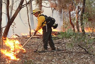 Los incendios forestales en Tlaxcala se duplican en 2024: Impactos y soluciones