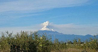 Popocatépetl en actividad constante: fuertes fumarolas alertan a la población