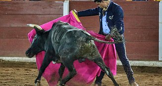 La Feria de Tlaxcala 2024: Un Encuentro Cultural con la Tauromaquia y la Pasión Taurina