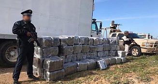 Detienen a conductor con 300 kilos de marihuana en Zacatecas: detalles del operativo