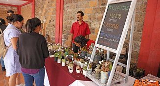 Omar Muñoz inaugura el “Ecofest”, en el marco del “Día Mundial del Medio Ambiente”