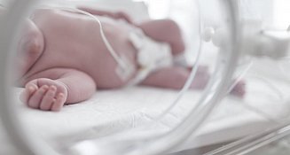 Brote de tos ferina deja 48 bebés fallecidos en México