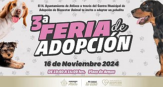 ¡Encuentra a tu nuevo mejor amigo en la Feria de Adopción en Atlixco!