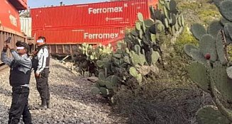 Tren descarrila en Hidalgo: Guardia Nacional actúa ante posibles saqueos