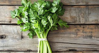 Apio: un vegetal ideal para perder peso de forma natural