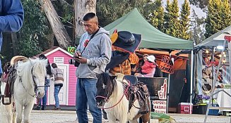 Denuncian caso de maltrato y explotación animal en Feria de Apizaco