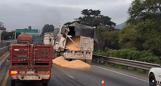 Accidente en la autopista Orizaba-Puebla: dos caballos muertos