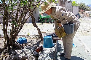 Dengue en Puebla: 22 nuevos casos y más de 4,400 contagios acumulados