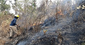 Sofocan incendio en el Cerro Zapotecas; se quemaron tres hectáreas