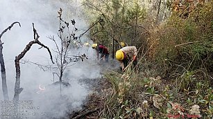 Tlaxcala impulsa reforma para sancionar daños ambientales con mayor rigor