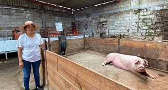 Tlaxcala impulsa negocios ganaderos con créditos accesibles y apoyo directo