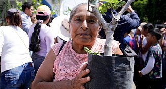 Encabeza Guadalupe Cuautle jornada “Adopta un Árbol” en San Antonio Cacalotepec